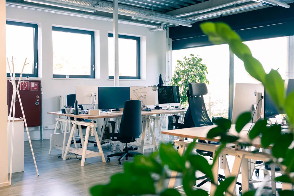 L'open space de l'agence : bureaux en bois clair, grandes fenêtres et plantes